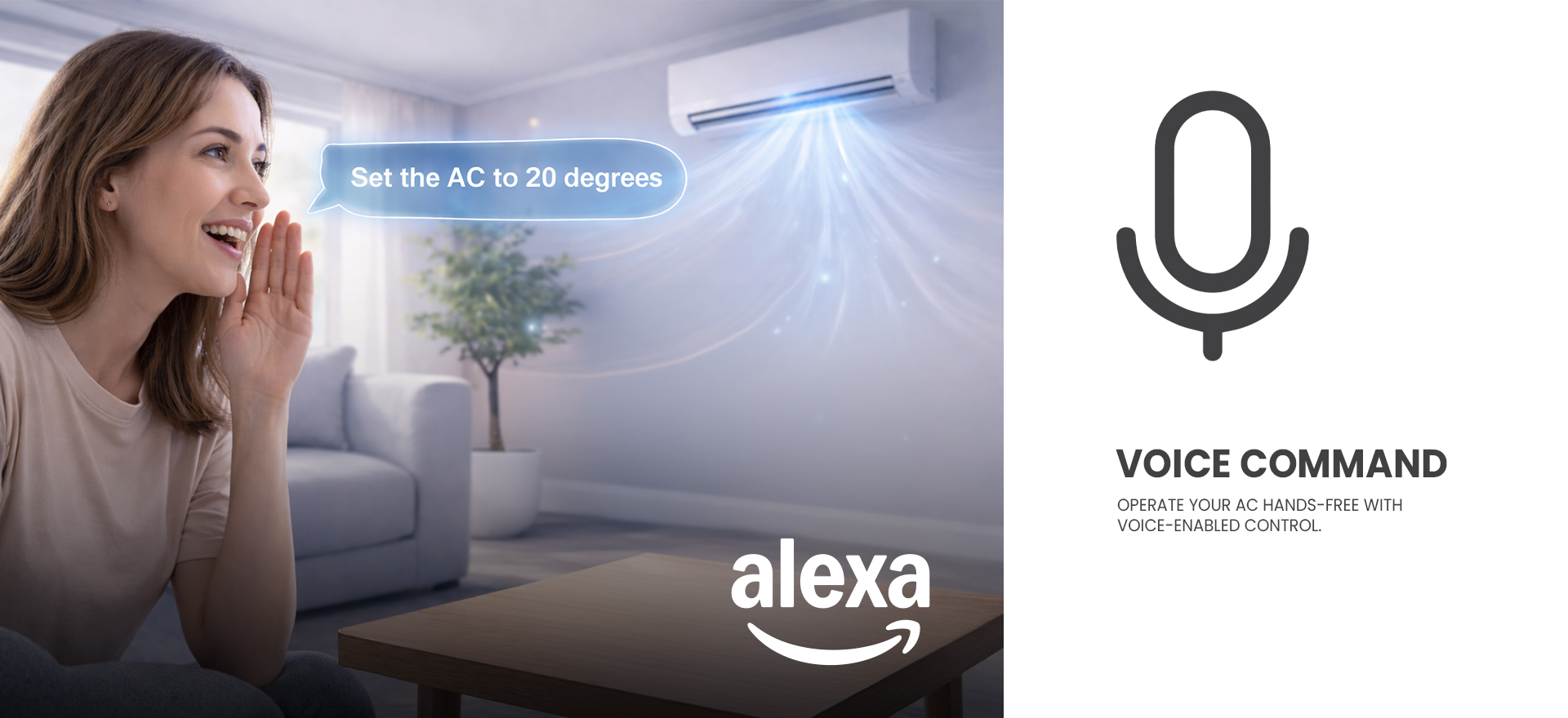 Voice Command